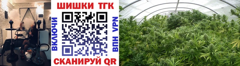 Шишки марихуана план  даркнет Telegram  Кириши  ОМГ ОМГ ТОР 